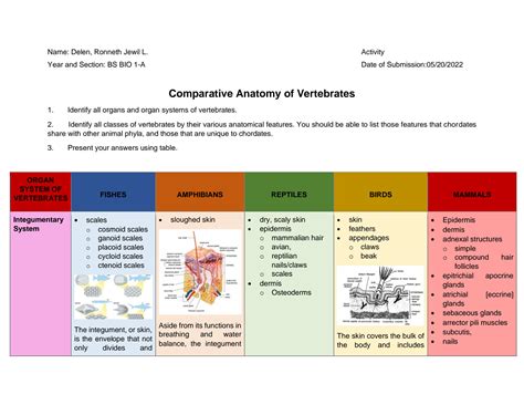 SOLUTION: Comparative anatomy of vertebrates - Studypool