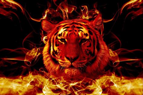 Flaming Tiger Wallpapers - Top Free Flaming Tiger Backgrounds - WallpaperAccess