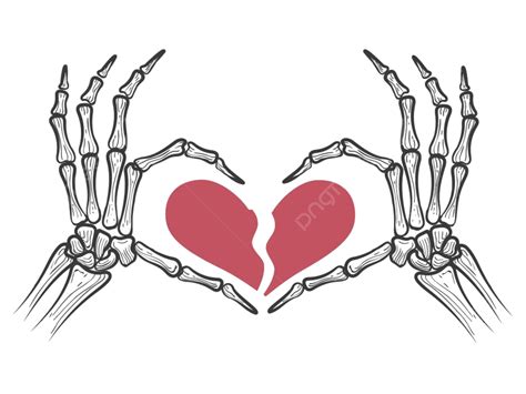 Skeleton Heart Vector Art PNG, Broken Heart In Skeleton Hands, Skeleton, Death, Design PNG Image ...