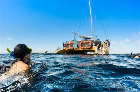 5 of the Best Aruba Snorkeling Tours