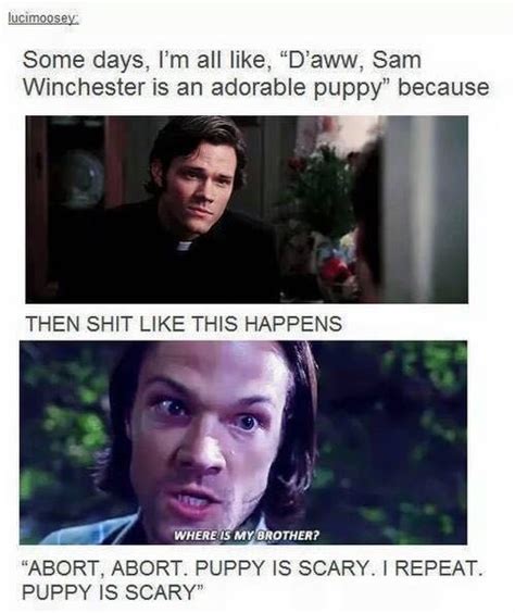 60+ Supernatural Memes - Funny Memes