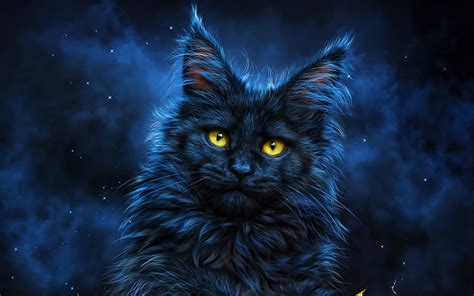 Cat Eyes In The Dark Wallpaper