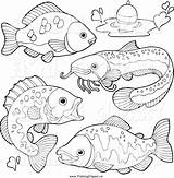 Freshwater Fish Coloring Pages At GetColoringscom  Free Printable sketch template