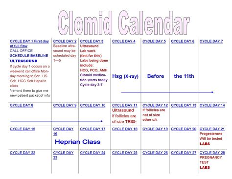 Clomid Calculator Ovulation Calendar - Peta Trudey