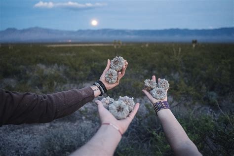 Our Peyote Ceremony in Mexico: A Spiritual Experience