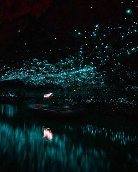 Spellbound Cave - Is this the best glow worm cave in New Zealand ...