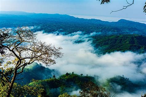 bangladesh, nature, sajek, sky, landscape, mountain, trees, clouds ...