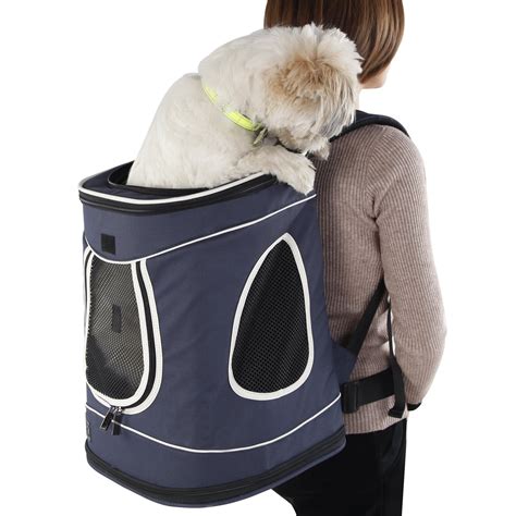 Best Dog Carrier Hiking Backpacks - Ruby Cavalier King Charles Spaniel