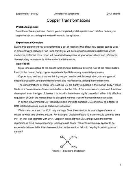 Experiment - Copper Transformations - Experiment 1315-02 University of ...