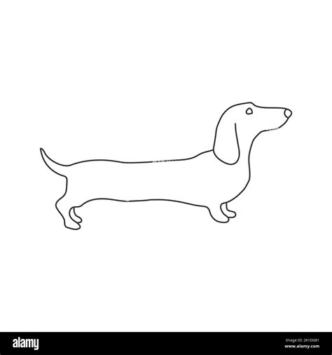 Dachshund dog drawing hi-res stock photography and images - Alamy