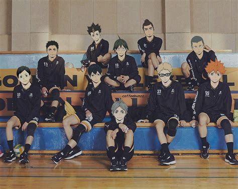 Haikyuu Karasuno, Kageyama Tobio, Haikyuu Manga, Haikyuu Fanart, Nishinoya, Funny Anime Pics ...