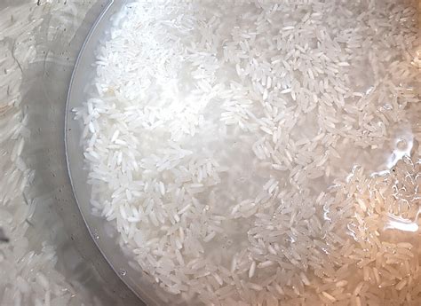 Instant Pot Rice - Wired Homestead Blog