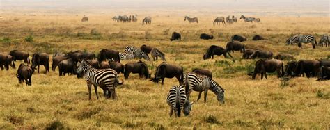 File:NgoroNgoro Crater, Tanzania, Africa.jpg - Wikipedia