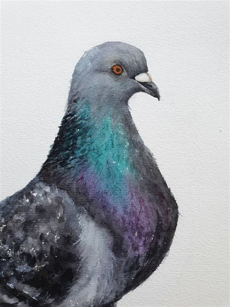 Original Watercolor Painting Pigeon Handpainted Bird Art | Etsy