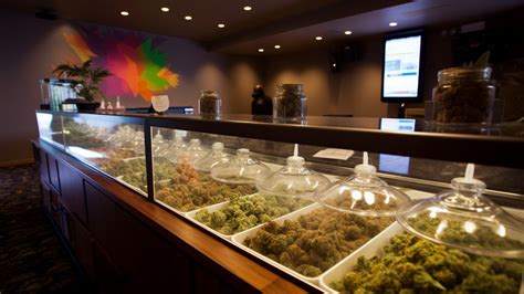 Your Guide to Weed Bars in Provo - LaJolla.com