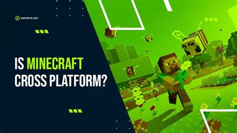 Is Minecraft Cross-platform? + How to Crossplay on Minecraft