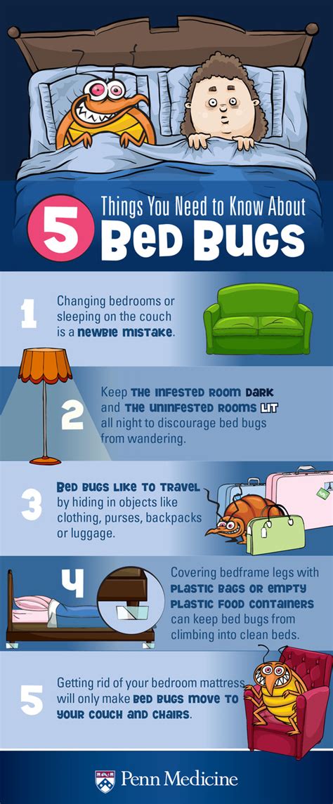 How To Avoid Bed Bug Bites While Sleeping - PestPhobia