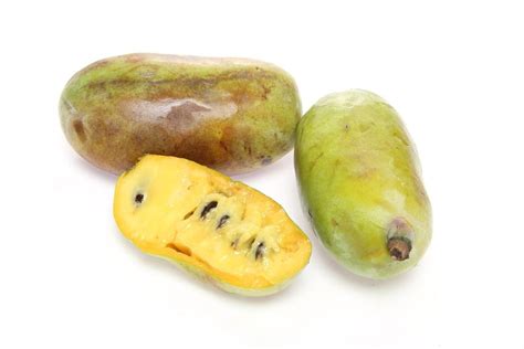 Pawpaw Fruit Trees - Learn About Different Varieties Of Pawpaw Tree