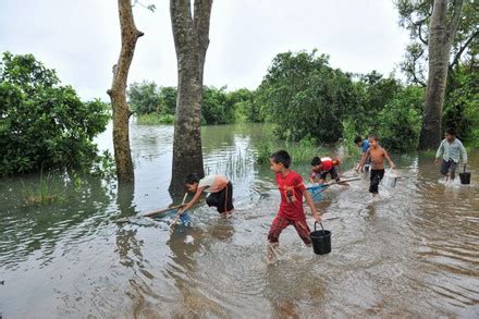 500 Sylhet Weather Stock Pictures, Editorial Images and Stock Photos | Shutterstock Editorial