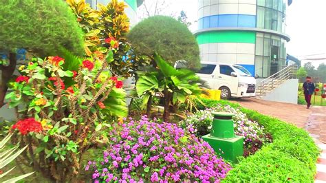 Daffodil International University Campus || Green Campus || Best University Campus in Bangladesh ...