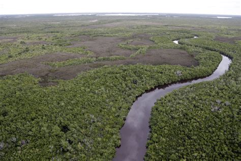 How many distinct habitats have been identified in Everglades National Park? - CSMonitor.com