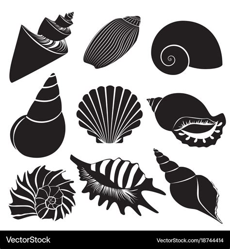 Seashell Free Svg Files For Cricut