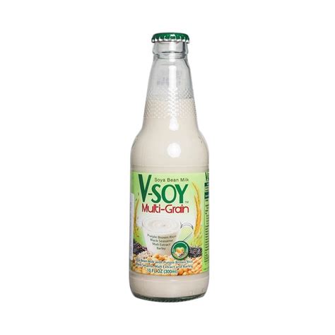 V-Soy Multi Grain Soya Bean Milk 300ml - DeGrocery.com