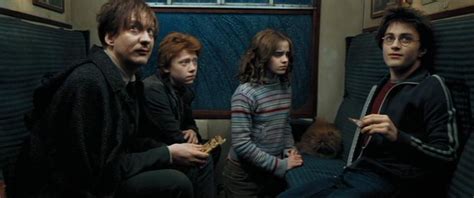 Crookshanks | Harry Potter Wiki | FANDOM powered by Wikia