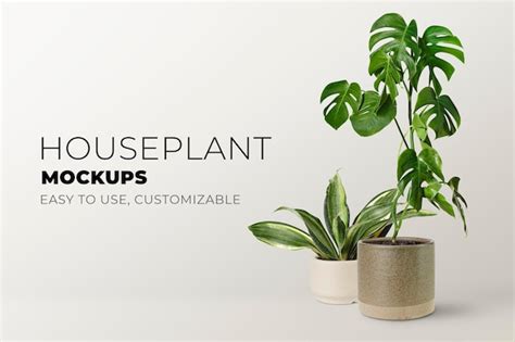 Plant Mockup PSD, 28,000+ High Quality Free PSD Templates for Download