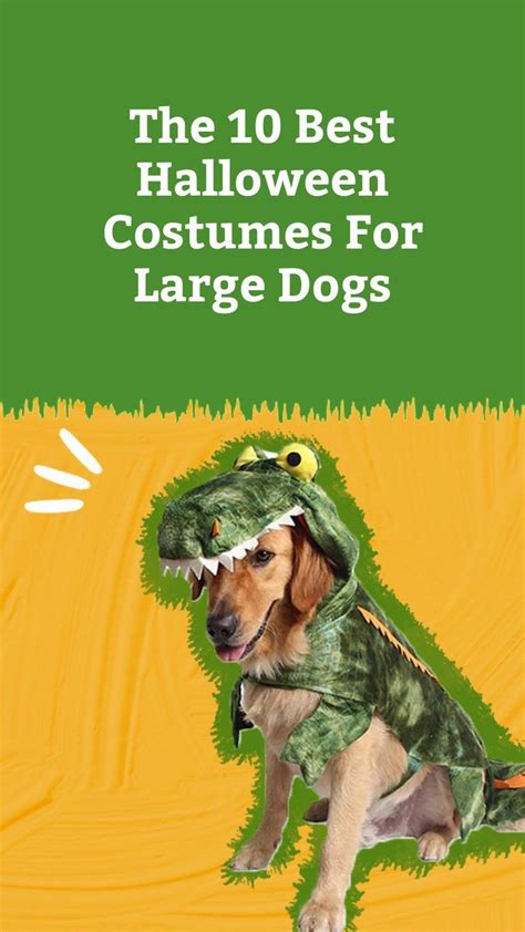 The 13 Best Halloween Costumes For Large Dogs | Dog costumes halloween ...