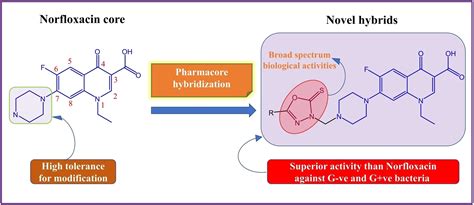 Synthesis, Antibacterial Evaluation and Molecular Docking Studies of 1,3,4‐Oxadiazole‐2(3H ...