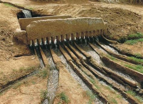 Pruned: Irrigation | Ancient egypt farming, Ancient history archaeology, Ancient egypt projects