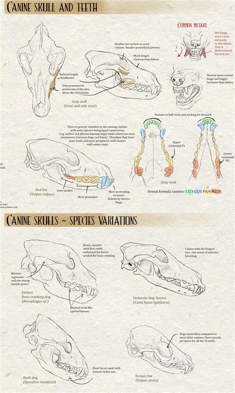 Pin by Luke Johnson on Alternate History Animal Civilization Universe ...