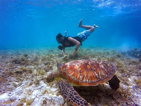 7 Best Snorkeling Spots in Cancun - FotoLog