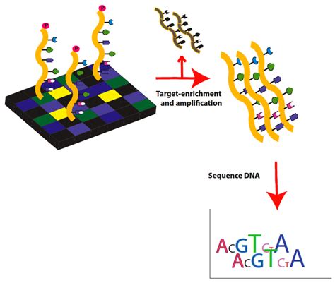 Exome Sequencing of Peripheral Neuropathy Patients IDs Candidate Genes ...