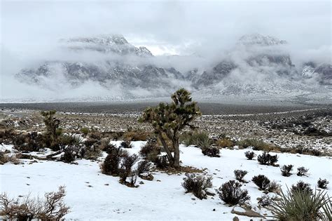 Snow falls across parts of Las Vegas Valley on Monday