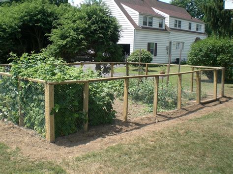 Inexpensive Garden Fence Ideas