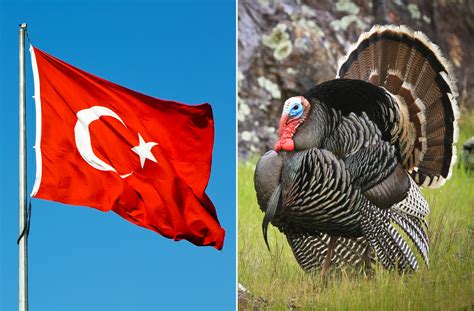 What is the reason behind the name change of turkey to turkiye ...