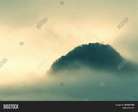 Forest. Green Mountain Image & Photo (Free Trial) | Bigstock