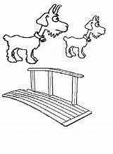 3 Billy Goats Gruff Coloring Pages Sketch Page sketch template