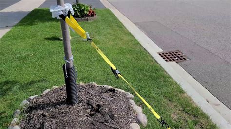 How to fix leaning tree and fence post with DIY tool? – DIYable.com