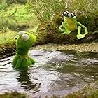 Kermit's Swamp Years (Video 2002) - IMDb