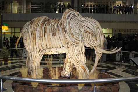 Elephant ivory sculpture unveiled at Botswana airport - Africa Geographic