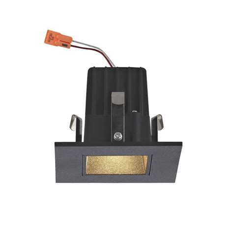 Square Trim LED Recessed Module for 2-Inch Cans - Black Finish | T204-BK | Destination Lighting ...