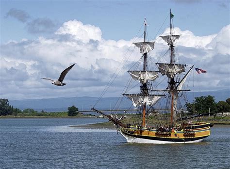 Sailing Humboldt Bay Photograph by Brett Pritchett - Fine Art America