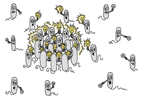 Quorum sensing - or how bacteria talk to each other on Bacterialworld