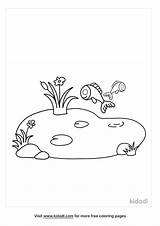 Pond Coloring Page  Kidadl sketch template