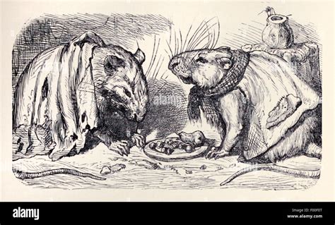 'The Town Mouse and the Country Mouse' fable by Aesop (circa 600BC Stock Photo, Royalty Free ...