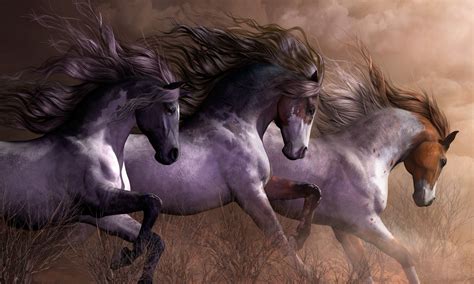 horse of beauty - Horses Photo (34971769) - Fanpop