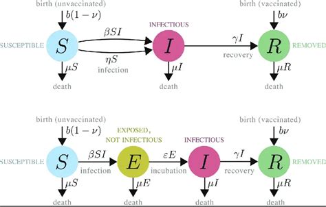 Difference Between Sir And Seir Model - Relationship Between